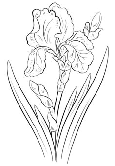 Drawing Many Flowers 8 Best Tattoos Images Drawings Embroidery Flower Designs
