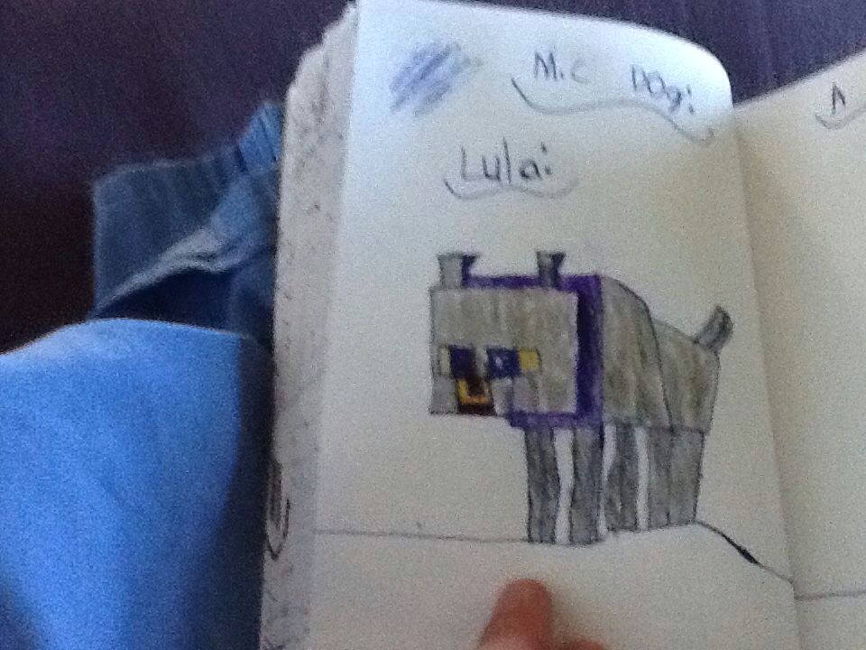 Drawing Minecraft Dogs Minecraft Dog My Mine Craft Dog Lula Kennedy Fav Drawings