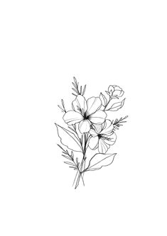 Drawing Minimalist Flowers 177 Best Line Art Flowers Images In 2019 Drawings Ink Tatoos