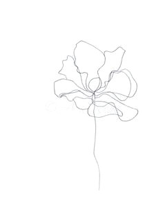 Drawing Minimalist Flowers 441 Best Minimalist Drawing Images Abstract Art Drawings Dibujo