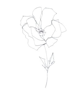 Drawing Minimalist Flowers 441 Best Minimalist Drawing Images Abstract Art Drawings Dibujo