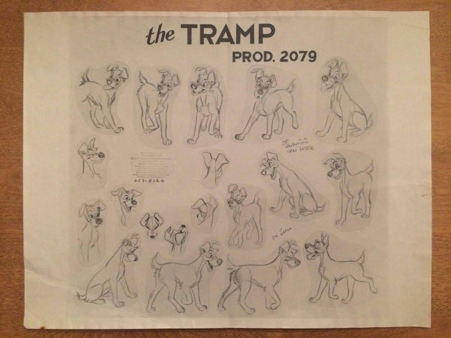 Drawing Model Dog Lady and the Tramp Walt Disney Studios 1955 Model Sheet Detailing