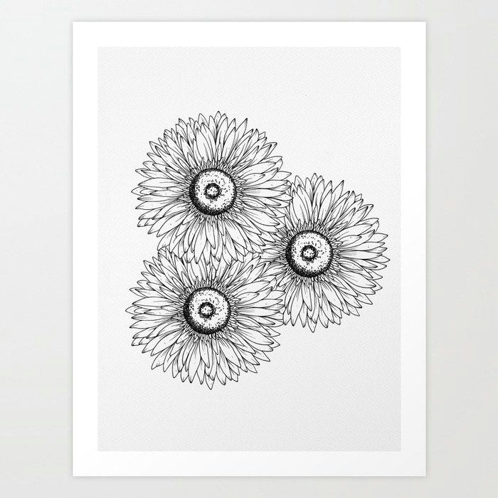 Drawing Modern Flowers Gerberas Art Print by Wildbloomart Worldwide Shipping Available at