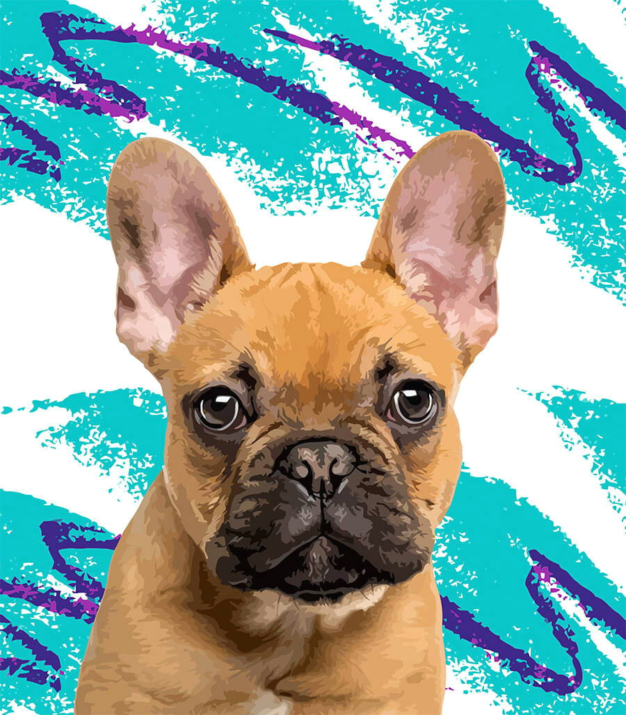 Drawing My Dog Maggie Dog Art Cat Art Custom Pet Pop Art Pop Your Pup