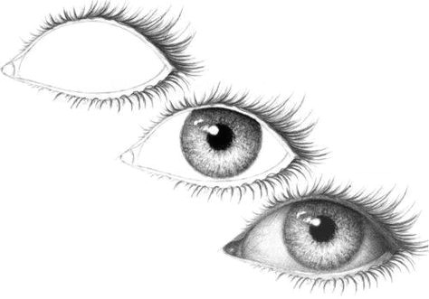 Drawing Natural Eye 303 Best Drawing Eyes Images Drawing Faces Drawing Techniques