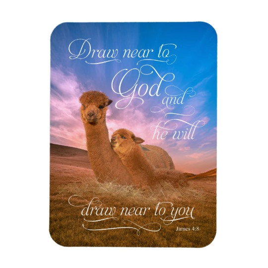 Drawing Near to God Alpaca Bible Verse Draw Near to God Photo Magnet Zazzle Com