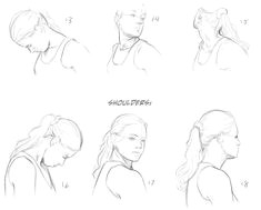Drawing Necks 88 Best Character Anatomy Neck Images Drawing Tips Drawing
