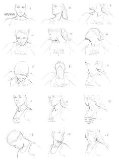 Drawing Necks 88 Best Character Anatomy Neck Images Drawing Tips Drawing