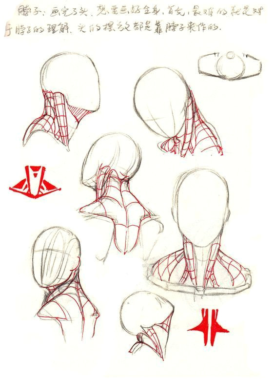 Drawing Necks Cartoon Drawing Tips for Kids Models Drawings Anatomy Drawing