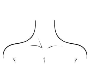 Drawing Necks How to Draw Neck Collar Bone Drawing In 2019 Drawings Art