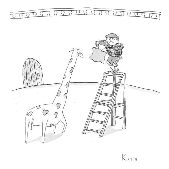 Drawing New Yorker Cartoons A Matador On A Ladder Faces A Giraffe New Yorker Cartoon Premium