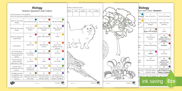 Drawing Non Living Things Year 3 Biological Science Questions and Colouring Worksheet