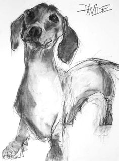 Drawing now Dog 126 Best Dachshund Drawing Images In 2019 Dachshund Drawing