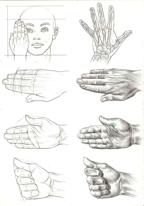 Drawing Of 2 Hands Learning to Draw the Hand Drawing In 2019 Arte Dibujo Humano