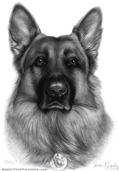 Drawing Of 3d Dog 810 Best Sketching Black White Images Drawings Dibujo Pencil