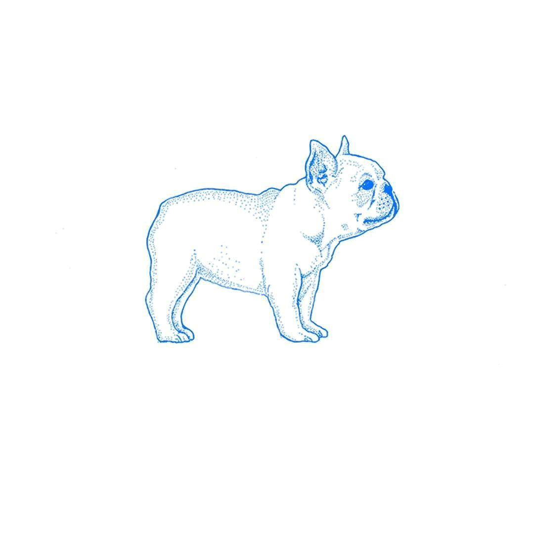 Drawing Of 3d Dog Frenchie Illustration to Be Printed On Children S Clothing 3d