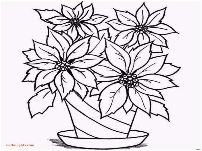 Drawing Of 5 Flowers Best 21 Black and White Flower Drawing Fabio Bortolani