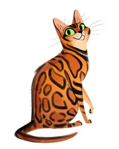 Drawing Of A Bengal Cat 30 Best Bengal Cat Breed Images Cats Bengal Cat Kittens Crazy Cats