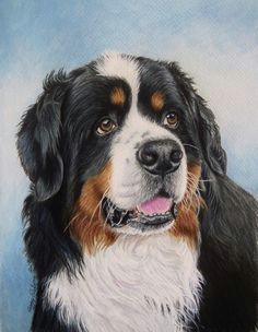 Drawing Of A Bernese Mountain Dog 288 Best Bernese Mountain Dog Clipart Images In 2019 Bernese