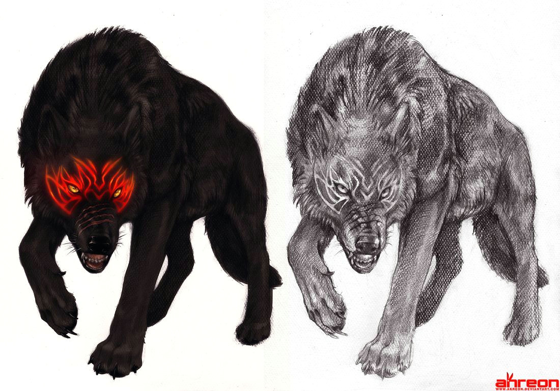 Drawing Of A Black Wolf Black Wolf by Akreon Deviantart Com On Deviantart Dreams Fantasy