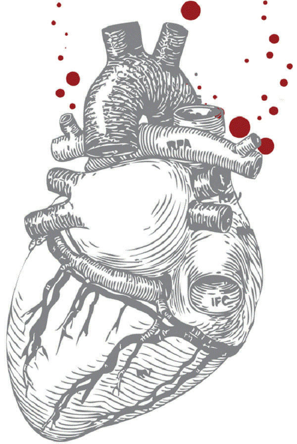 Drawing Of A Bleeding Heart Human Heart Illustration Human Heart Illustration Healt