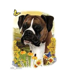Drawing Of A Boxer Dog 174 Best Boxer Clipart Images In 2019 Boxer Dogs Dogs Drawings