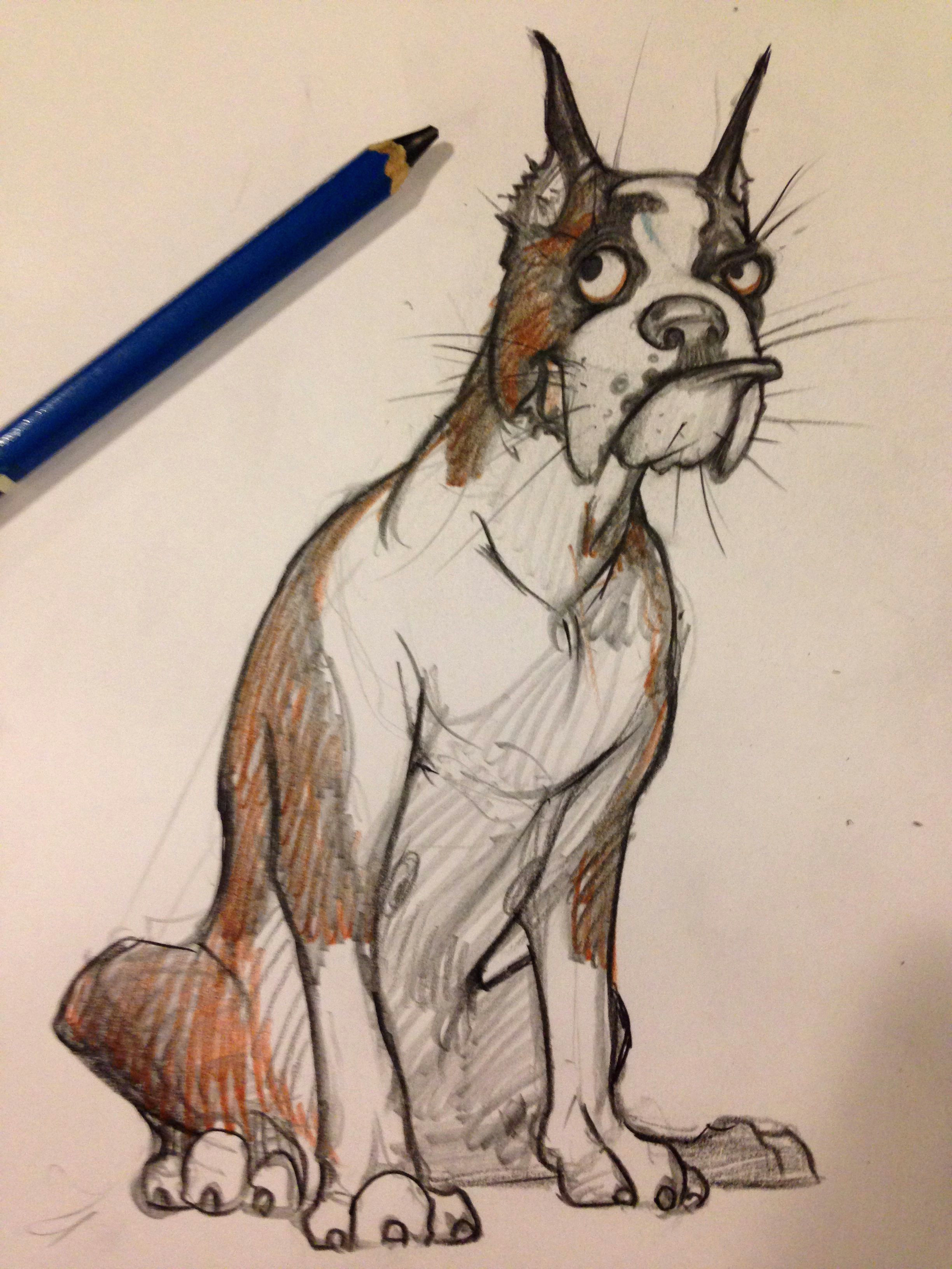 Drawing Of A Boxer Dog Boxer Dog Character Design Doodle Art Character Design Animal