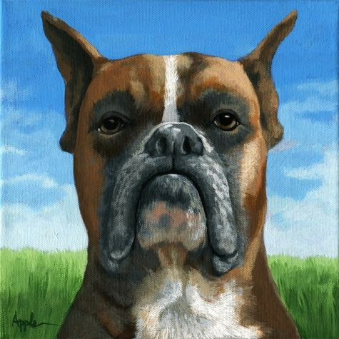 Drawing Of A Boxer Dog Boxer Dog Portrait Realistic Animal Painting by Linda Apple original