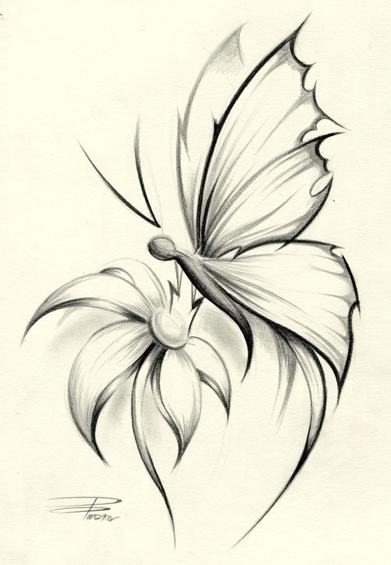 Drawing Of A butterfly On A Rose butterfly Flower by Davepinsker On Deviantart Pictures In 2019