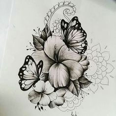 Drawing Of A butterfly On A Rose butterfly Pencil Drawing if It Were A Dragonfly It Would Be Perfect