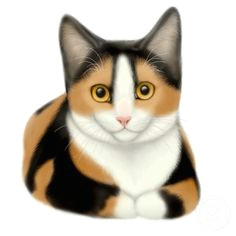 Drawing Of A Calico Cat 27 Best Calico tortoiseshell Cats Images Calico Cats