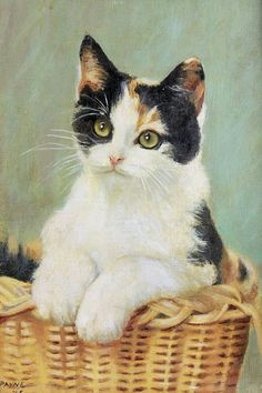 Drawing Of A Calico Cat 307 Best Art1 Calico Cat Images Calico Cats Cat Art Cat