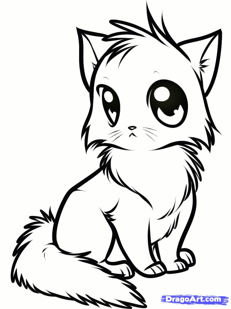 Drawing Of A Cartoon Cat Draw A Cute Anime Cat Step by Step Drawing Sheets Added by Dawn
