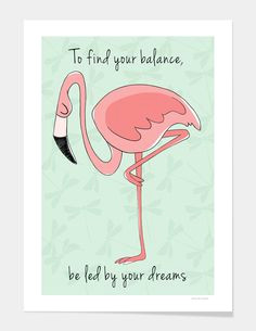 Drawing Of A Cartoon Flamingo 195 Best Flamingo Drawings Images Flamingo Drawings Flamingos