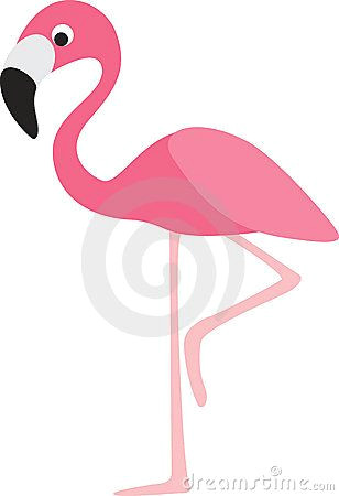 Drawing Of A Cartoon Flamingo Flamingo Cartoon Royalty Free Stock Photos Image 15125718 Cards