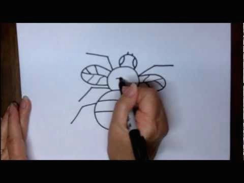 Drawing Of A Cartoon Fly How to Draw A Fly Step by Step Simple Beginners Lesson Youtube