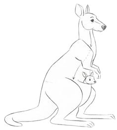 Drawing Of A Cartoon Kangaroo 36 Best Kangaroos Images Drawings Kangaroo Drawing Character Design