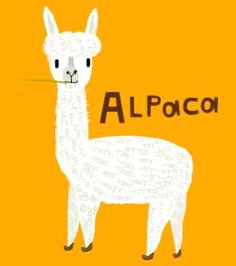 Drawing Of A Cartoon Llama 149 Best Alpaca Cartoons and Art Images In 2019 Llama Llama