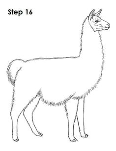Drawing Of A Cartoon Llama 96 Best Llamas Images Llama Llama Llama Arts Block Prints