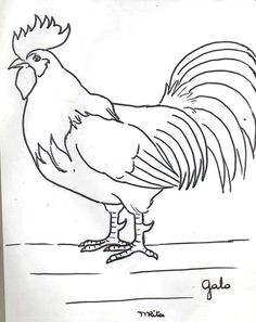 Drawing Of A Cartoon Rooster How to Draw A Rooster Step 5 Roosters Drawings Rooster