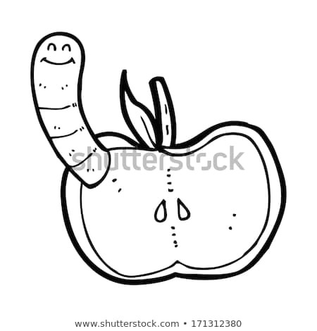Drawing Of A Cartoon Worm Cartoon Apple Worm Stock Vector Royalty Free 171312380 Shutterstock