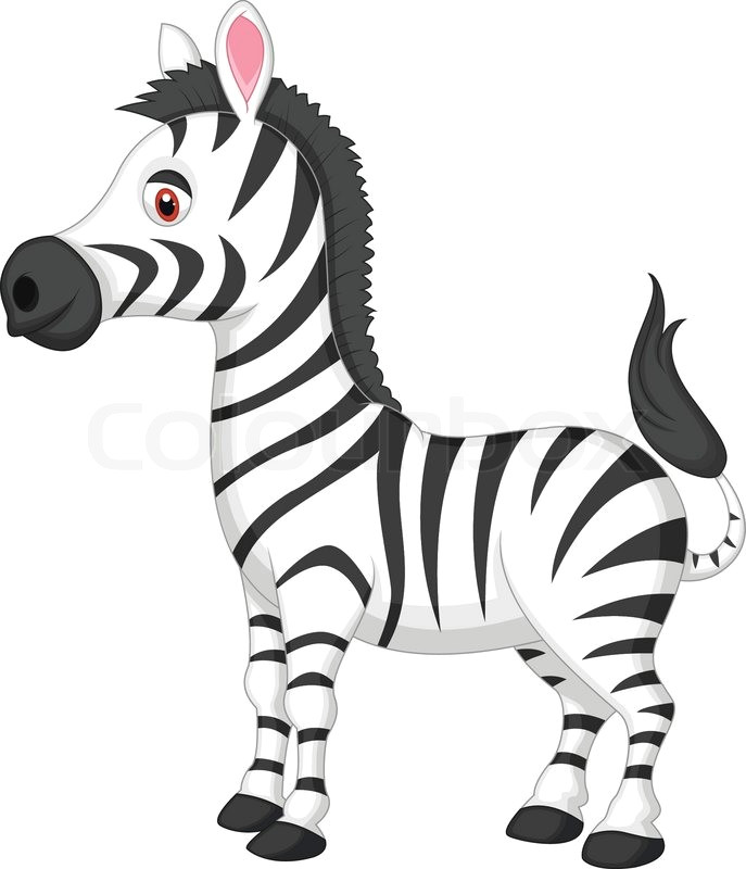 Drawing Of A Cartoon Zebra Animated Zebra Pictures Image Group 84