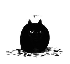 Drawing Of A Cat Black and White 1327 Best Cats Black White Images Cat Illustrations