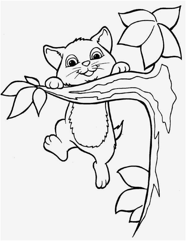Drawing Of A Cat Black and White Unique Black Cat Coloring Pages Uaday org