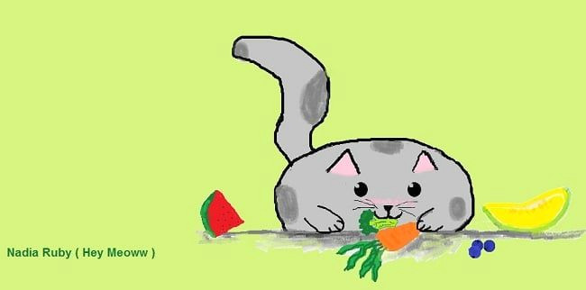 Drawing Of A Cat Eating Can Cats Eat Vegetables My Cat Drawing