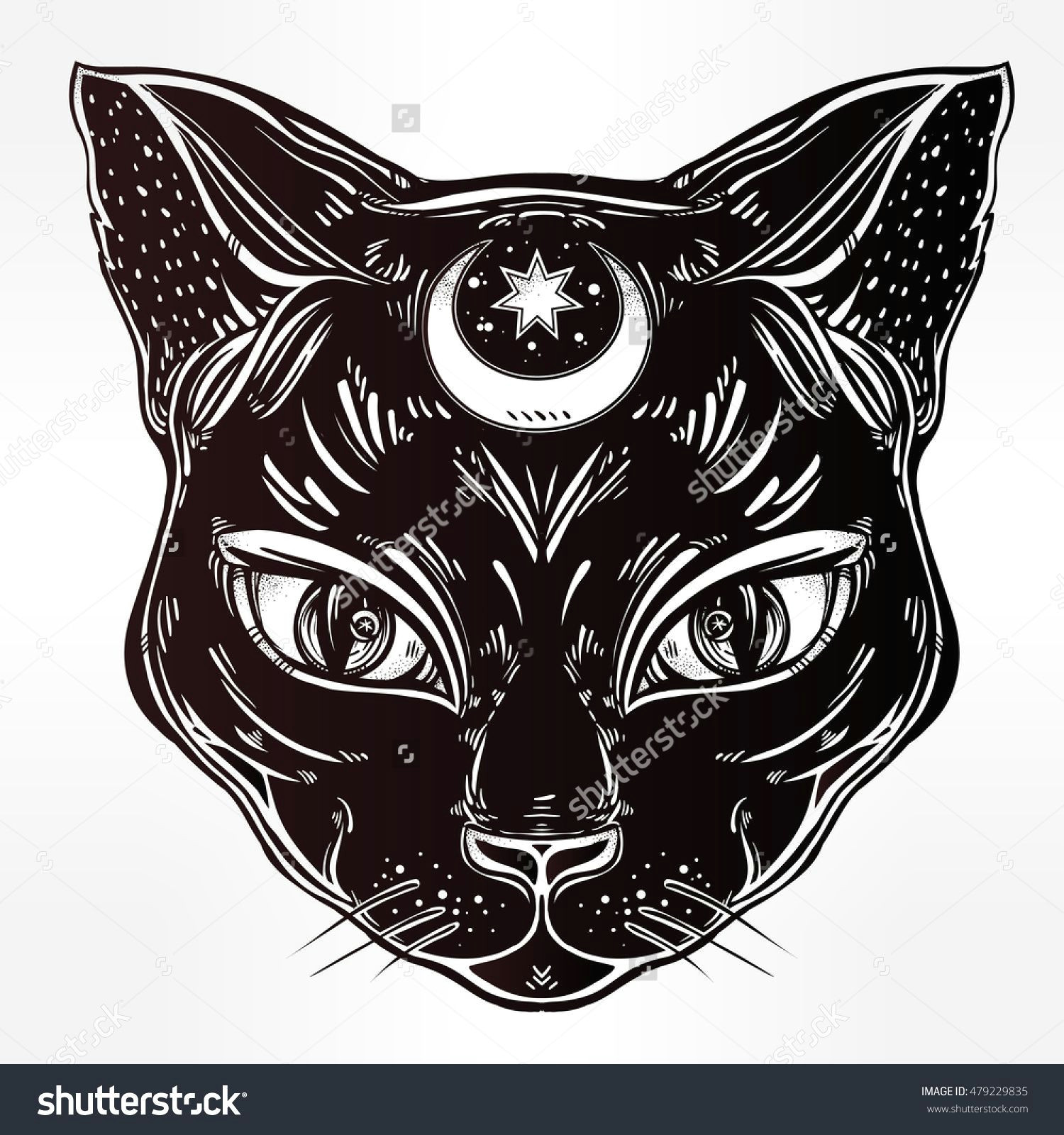 Drawing Of A Cat Head Black Cat Head Portrait with Moon Ideal Halloween Background