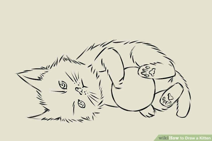 Drawing Of A Cat In A Basket 4 Ways to Draw A Kitten Wikihow