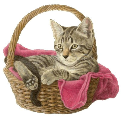 Drawing Of A Cat In A Basket 50 Best Printable Cats Images On Pinterest Cats Cat Art and Draw