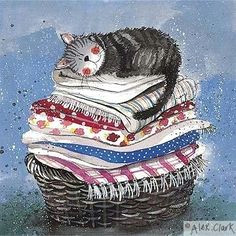 Drawing Of A Cat In A Basket 68 Best Laundry Cats Images Dog Cat Pretty Cats Cute Cats
