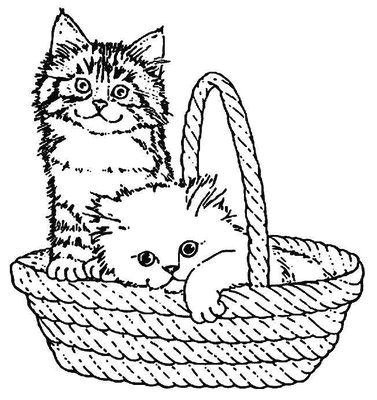 Drawing Of A Cat In A Basket Claire Arte Mania E Cia Riscos Para Bolsas Camisetas